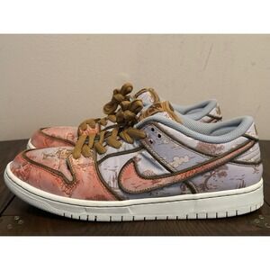 Nike Dunk SB Low Pro Premium City of Style Men's Size 9.5 FN5880-001